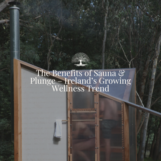 The Benefits of Sauna & Plunge – Ireland’s Growing Wellness Trend